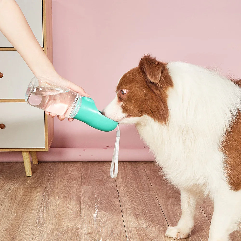 Dog Water Bottle
